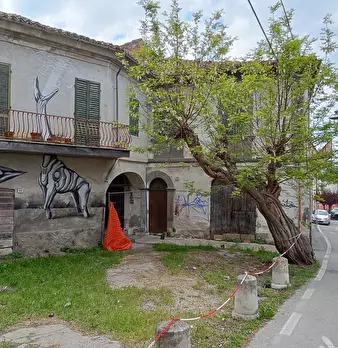 Foto annuncio 5