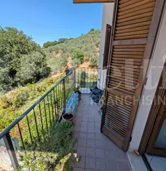 Foto annuncio 9