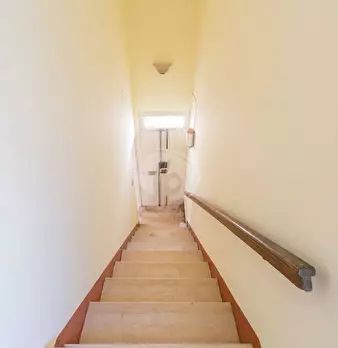 Foto annuncio 38