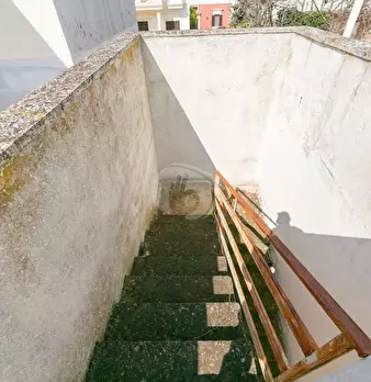 Foto annuncio 42