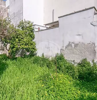Foto annuncio 26