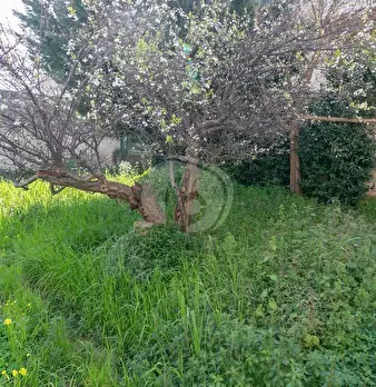 Foto annuncio 25