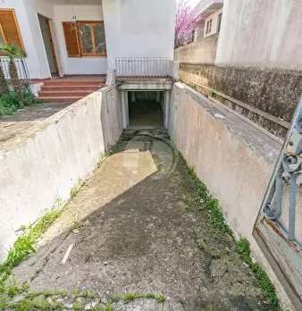 Foto annuncio 49