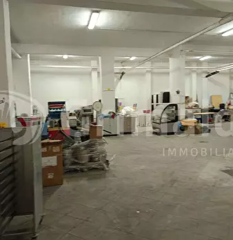 Foto annuncio 8