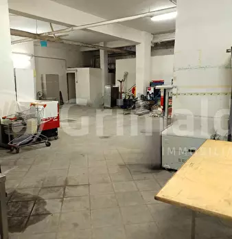 Foto annuncio 11