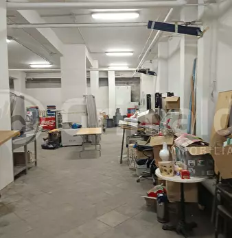 Foto annuncio 14
