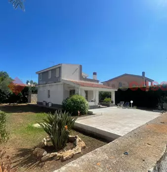Foto annuncio 2