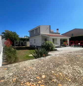 Foto annuncio 35