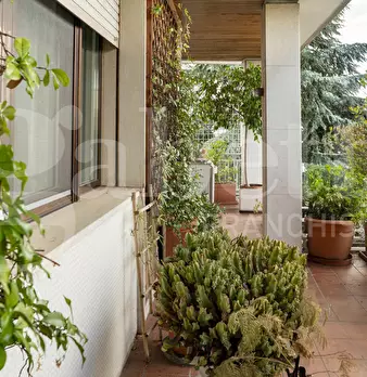 Foto annuncio 19