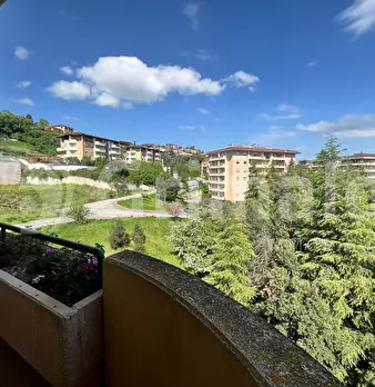 Foto annuncio 19
