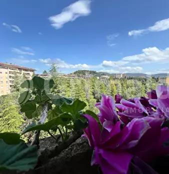 Foto annuncio 18