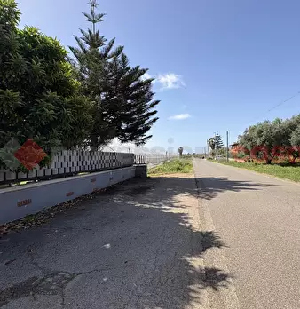 Foto annuncio 50