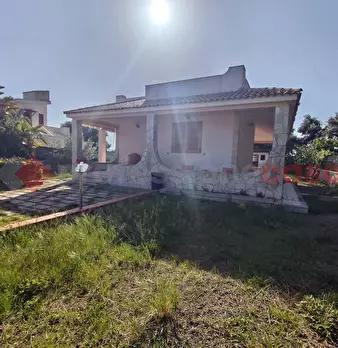 Foto annuncio 7