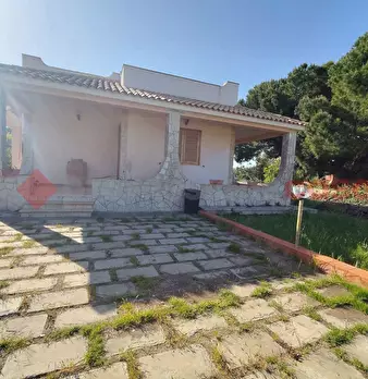Foto annuncio 9