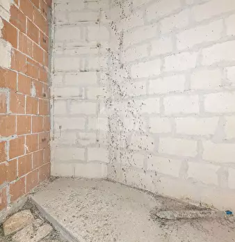 Foto annuncio 26