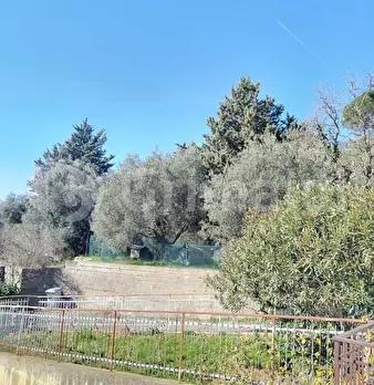 Foto annuncio 15