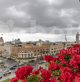Foto annuncio 11