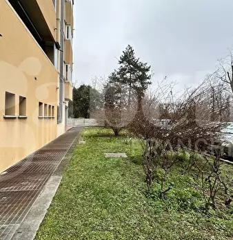 Foto annuncio 31