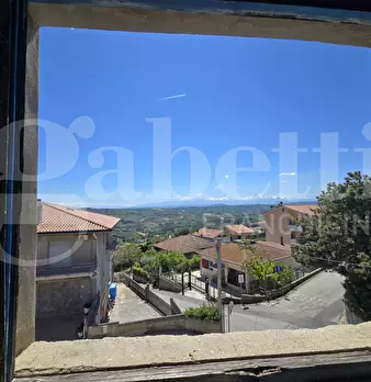Foto annuncio 14