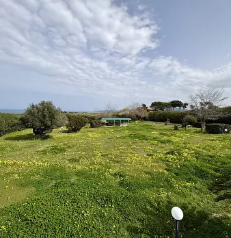 Foto annuncio 21