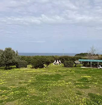 Foto annuncio 24