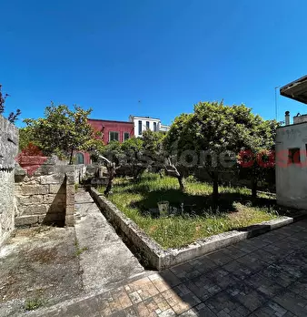 Foto annuncio 24