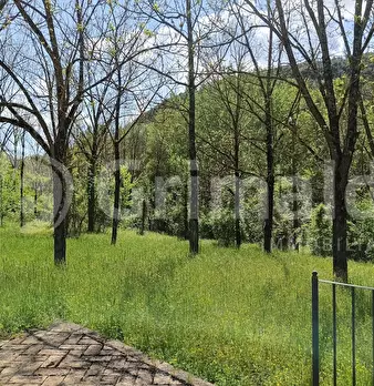 Foto annuncio 18