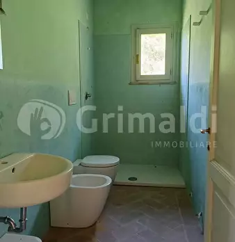 Foto annuncio 17