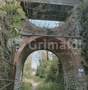 Foto annuncio 31