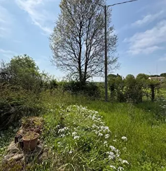 Foto annuncio 2