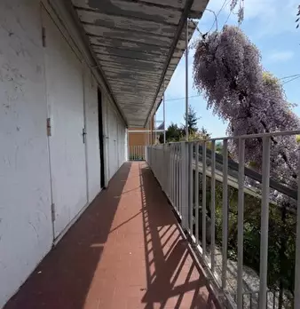 Foto annuncio 19