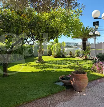 Foto annuncio 34