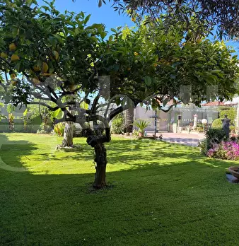 Foto annuncio 33
