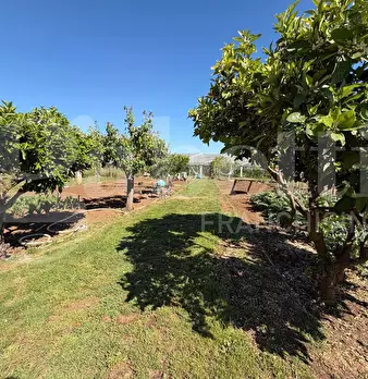 Foto annuncio 35