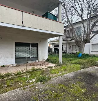 Foto annuncio 2