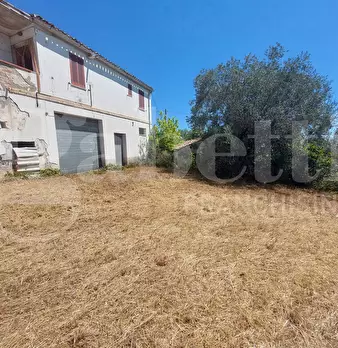 Foto annuncio 7