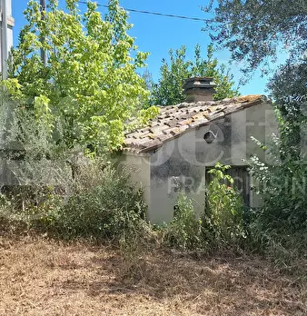 Foto annuncio 12