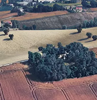 Foto annuncio 5