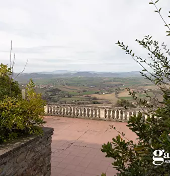 Foto annuncio 8