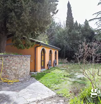 Foto annuncio 45