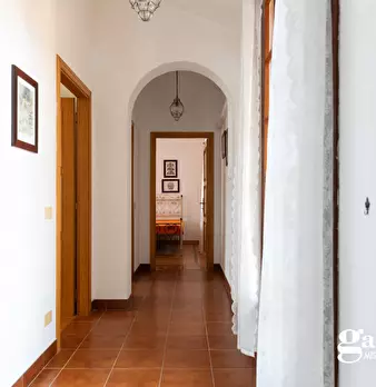 Foto annuncio 33