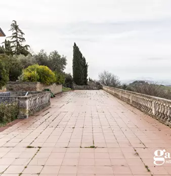Foto annuncio 12