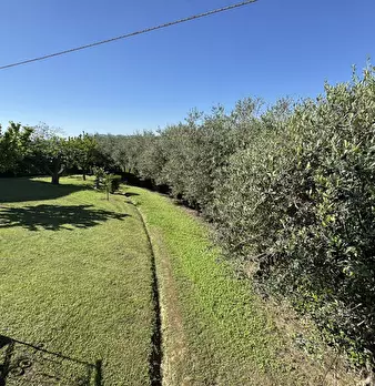 Foto annuncio 31
