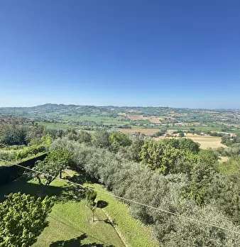 Foto annuncio 5