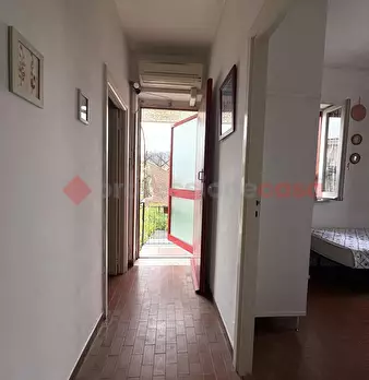 Foto annuncio 41
