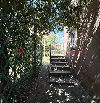 Foto annuncio 39