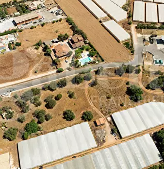 Foto annuncio 10