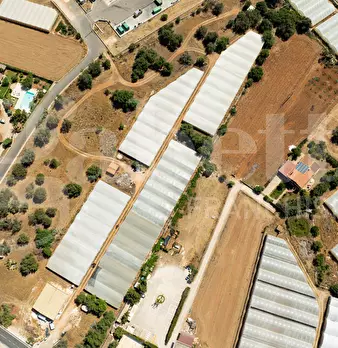 Foto annuncio 8