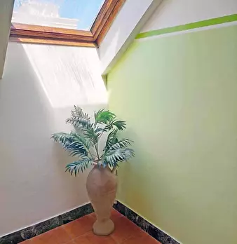 Foto annuncio 20