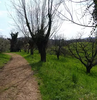 Foto annuncio 2